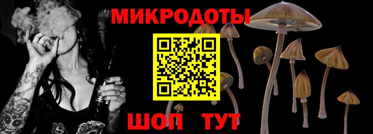 Барнаул  Галлюциногенные грибы Magic Shrooms  Вход с VPN 