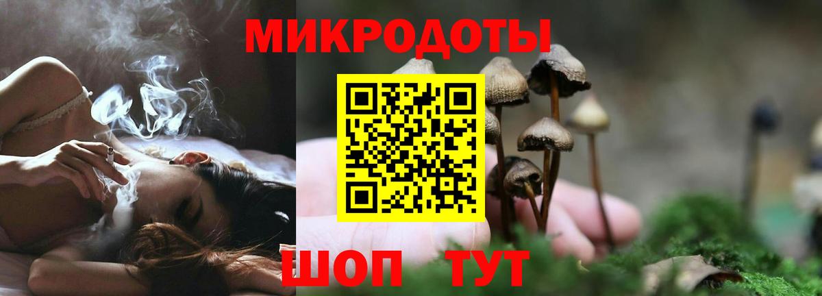 Галлюциногенные грибы прущие грибы Барнаул